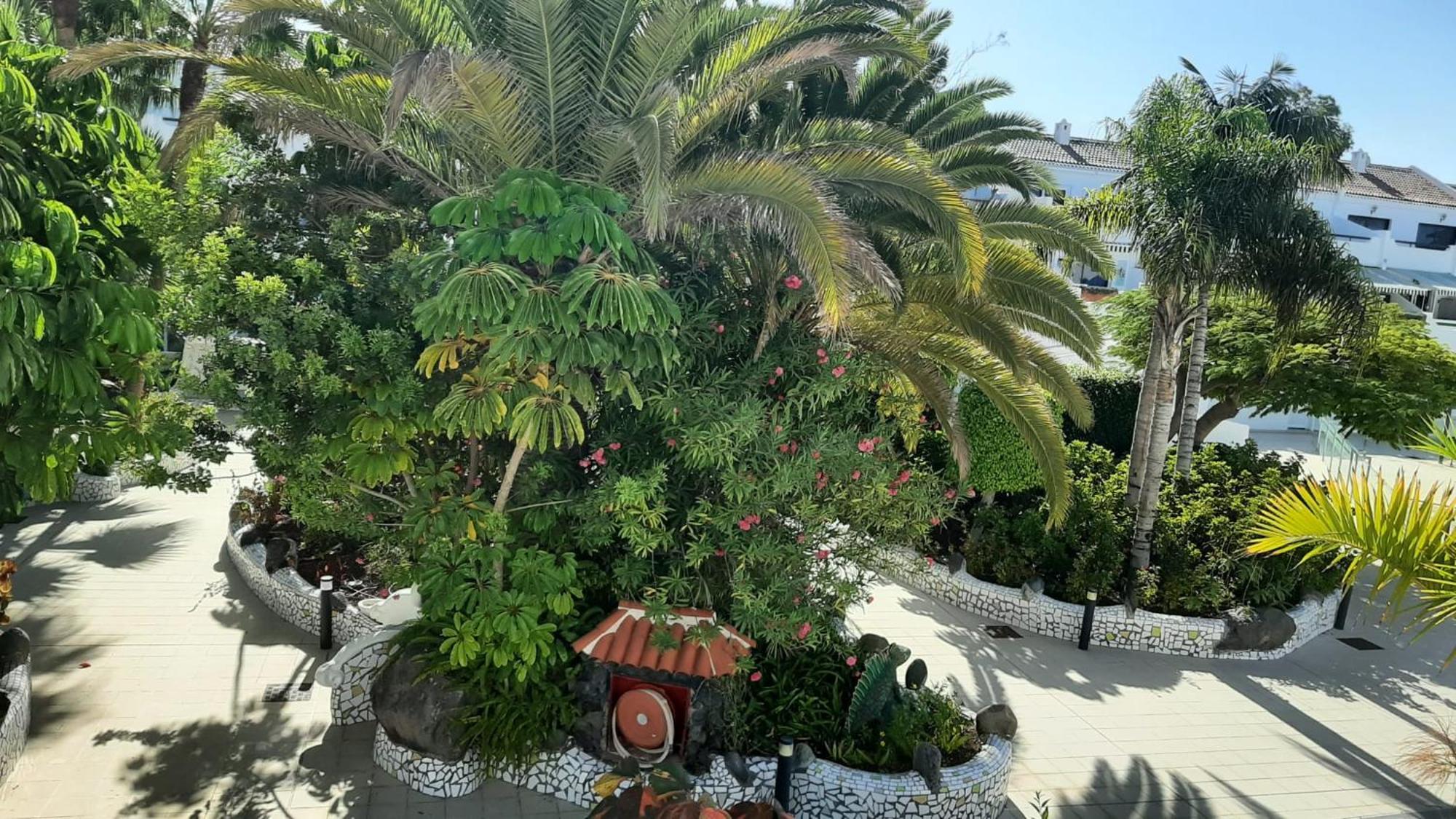 Blue Bay Paradise - Beach Front Apartment With Sea View Playa Paraiso  Zewnętrze zdjęcie